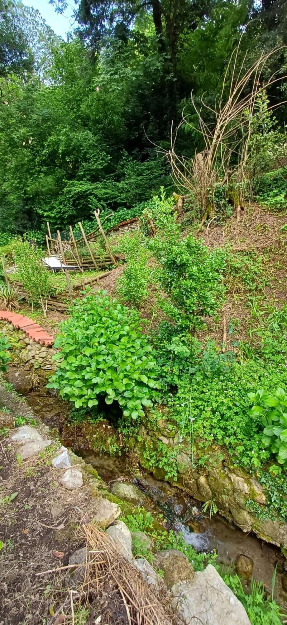 La Casetta Nel Verde كومو المظهر الخارجي الصورة